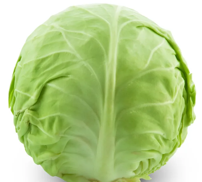 How does Yiman Agriculture continuously tap into the global fresh produce export market with the solid quality of standardized fresh cabbage?