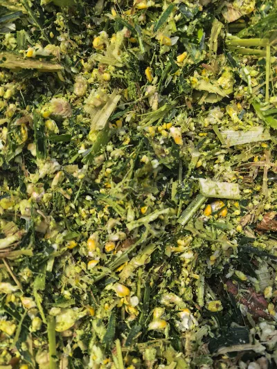 What core strengths make Yiman Agriculture your ideal supplier for pickled cabbage bulk import projects?