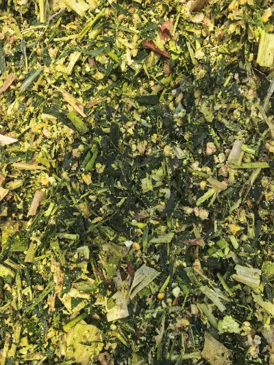 With high‑humidity weather events occurring frequently across the globe, how can high‑quality fresh corn silage be produced for high‑humidity conditions using scientific processes?