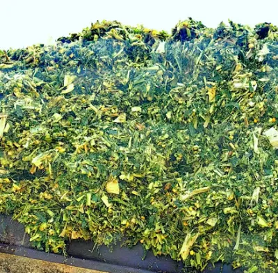 How Does High-Grade Corn Silage Mixed Feed Boost Livestock Farming Profit Margins?