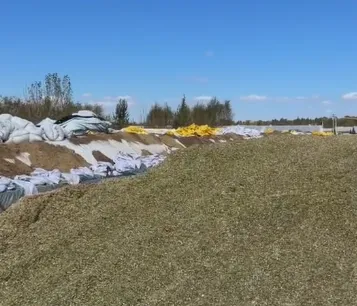 How to Build a Durable Silage Pit for Farm Forage Storage in Large Livestock Farms?