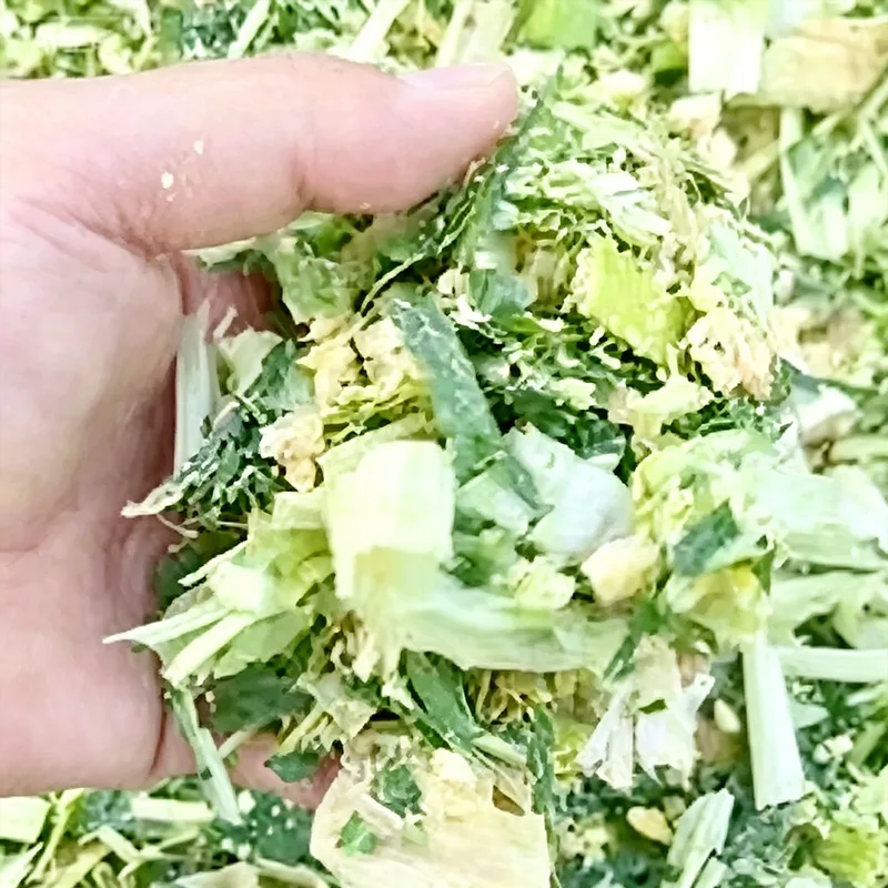 Complete Mixed Feed With Silage
