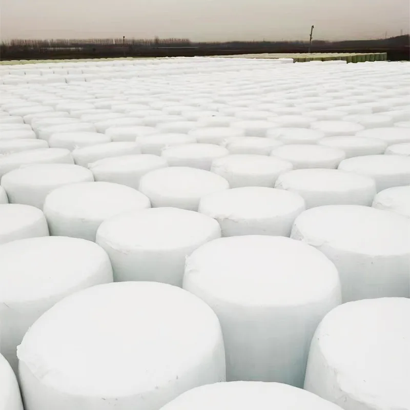 Easy Transport Baled Corn Silage