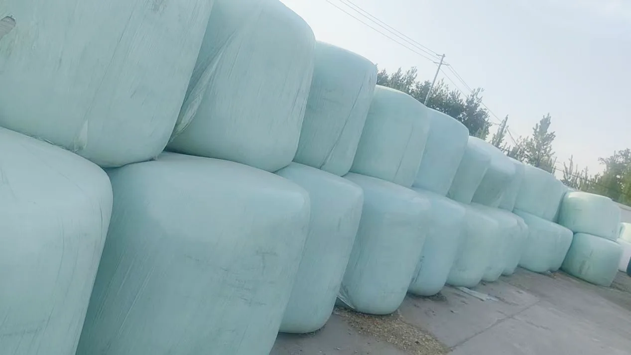 Bulk Wholesale Corn Silage