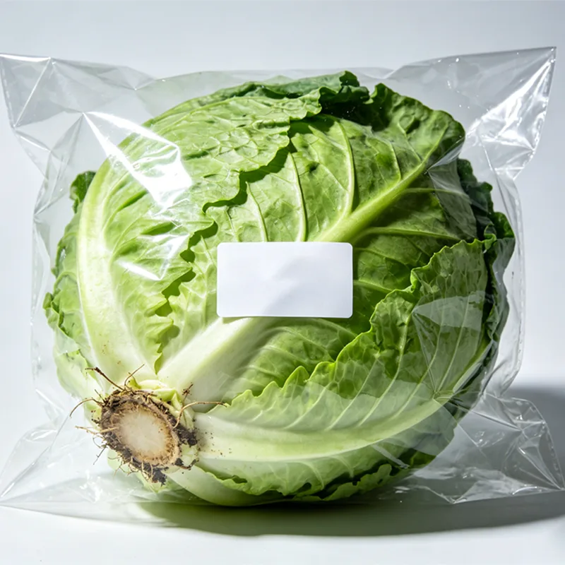 Individual Packed Fresh Cabbage