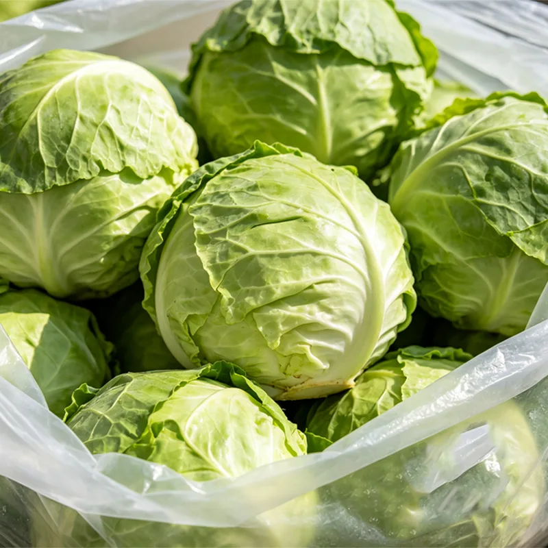 Net Bag Packed Round Cabbage