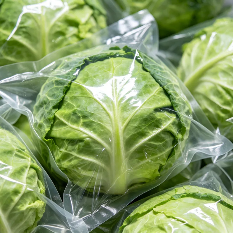 Vacuum Packed Fresh Cabbage