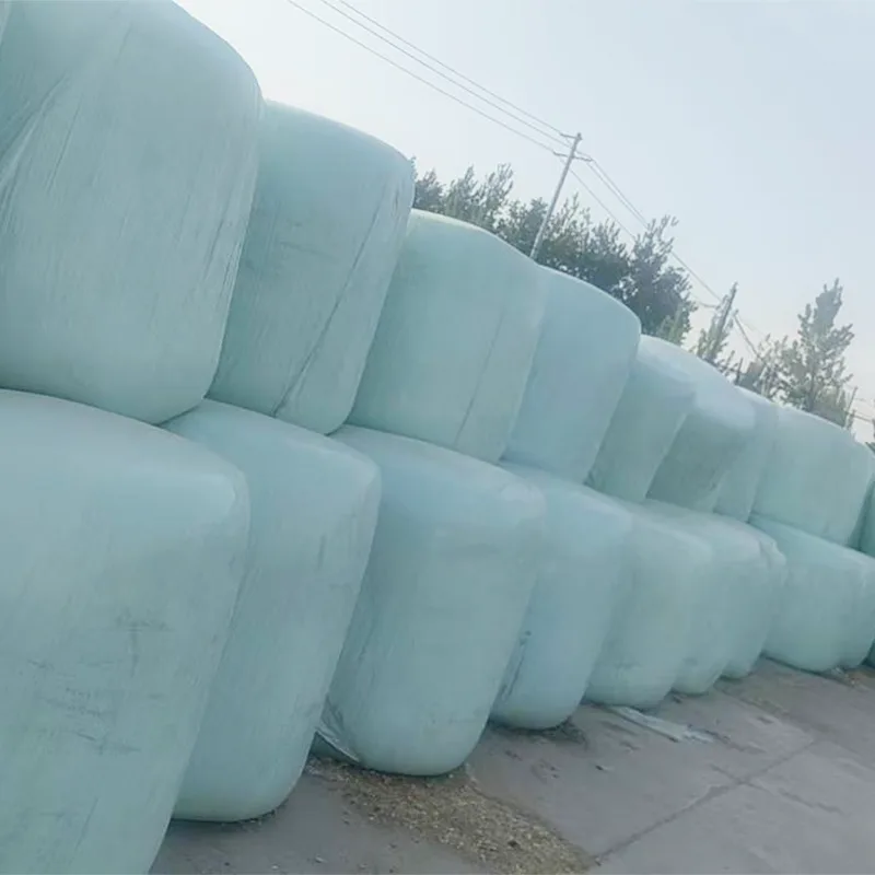 Year Round Supply Corn Silage